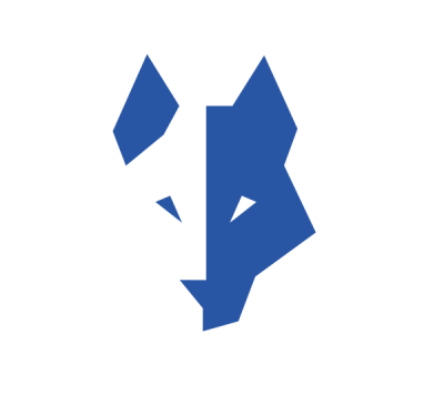 WOLF  MARKETING 360º